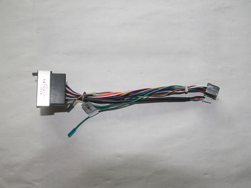Lion running dedicated power cord